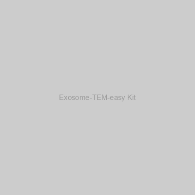 Exosome-TEM-easy Kit